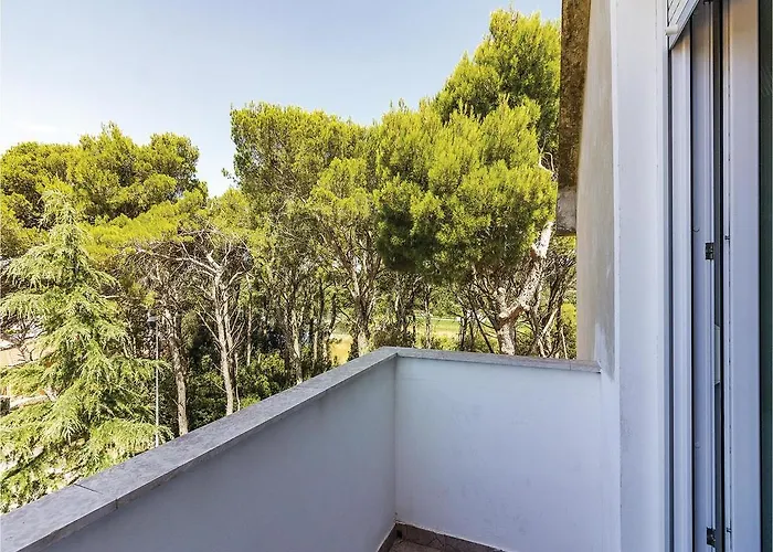 Amazing In With Kitchen * 풀라